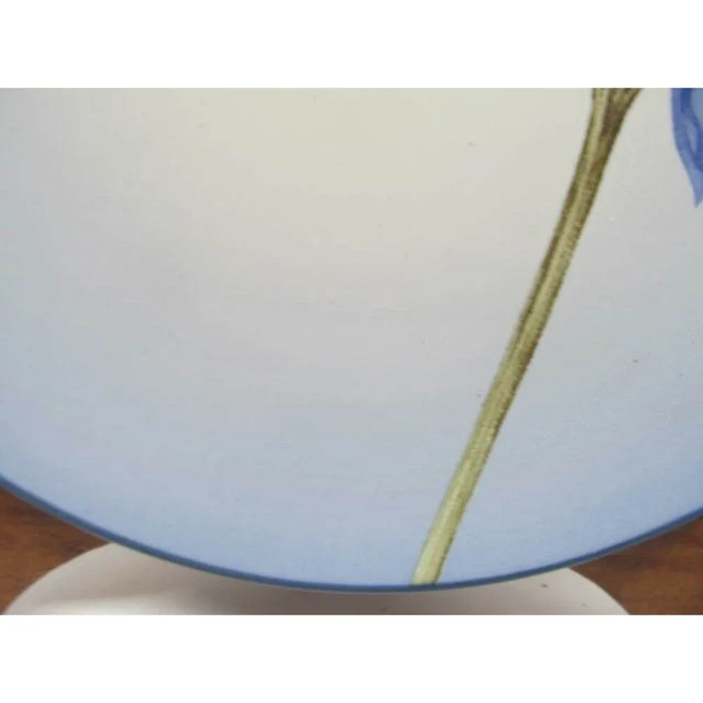 Noritake Colorwave Blue Cornflower 8 3/8